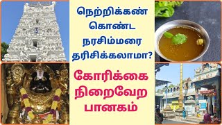 1500 Years Old Singaperumal Koil  Patalathri Narasimhar Temple near Chennai சிங்கப்பெருமாள் கோயில் [upl. by Ellehcir]