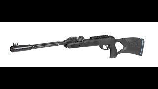 Gamo Roadster 10X IGT GEN2 45 mm Air Rifle [upl. by Ylak]