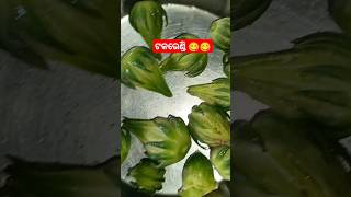 ଓଡ଼ିଆ ଅସ୍ମିତା 😀😘ytshort food trending viralvideo minivlog life of barsa youtubeshorts [upl. by Liahkim648]