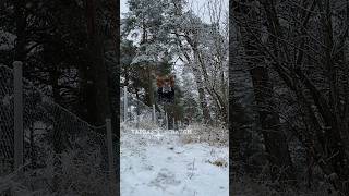 its snowing again athlete notatherian quads catmask quadsjump foryou quadrobics [upl. by Pan535]