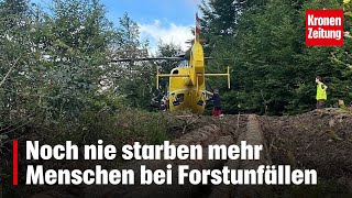 Noch nie starben mehr Menschen bei Forstunfällen  kronetv NEWS [upl. by Arreis]