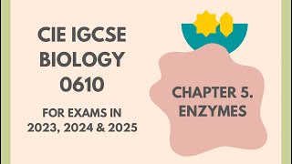 5 Enzymes Cambridge IGCSE Biology 0610 for exams in 2023 2024 and 2025 IGCSEStudyBuddy [upl. by Rez]