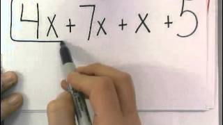 Distributive Property and Combining Like Terms  Math 6 [upl. by Haraj]