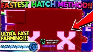 FASTEST WAY TO HATCH HUGE HACKED CATS OP FARM  Pet Simulator X Roblox [upl. by Wojcik]