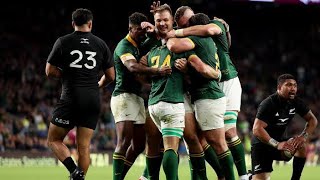 50 Springbok Tries To Get You Hyped For South Africa VS Ireland [upl. by Tresa489]