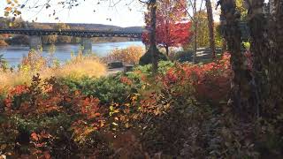 Owego Riverwalk  October 24 2024 [upl. by Goff]