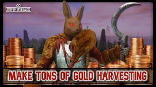 3 Best Ways To Make Gold Harvesting New World Aeternum [upl. by Konrad]