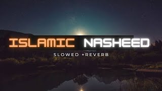 ✨Beautiful islamic Nasheed✨ Slowed  Reverb🥀 [upl. by Ahael]