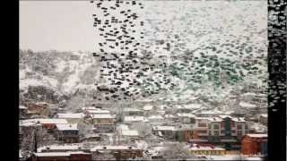 Snowy Tbilisi  Snowflakes á¤áá¤áĄá”á‘áťá¤áá¤áĄá”á‘áť [upl. by Airyk835]