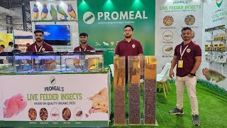 Promeal at India International Pet Trade Fair IIPTF 2024 [upl. by Bannon]