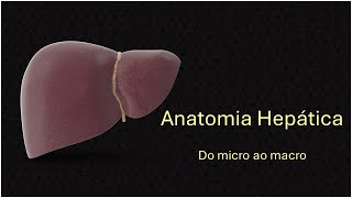 Anatomia hepática [upl. by Januisz383]