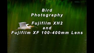 Fujifilm XH2 and Fujifilm 100 400mm lens Bird Photography [upl. by Hubble]