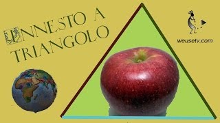 Botanica e giardinaggio  Melo Stayman  Innesto a triangolo Lorenzo Bonino  Tecniche di innesto [upl. by Isidoro404]