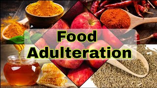 Food Adulteration test at home Chemistry Activity Class 9 [upl. by Casie866]