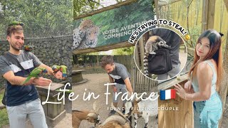 DATE AT BORDEAUX ZOO VLOG 😍🇫🇷  A peaceful day in our life  Roxel Life ♡ [upl. by Nylakcaj]