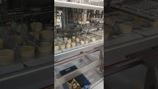 Empty wafer cups inserter [upl. by Berni]