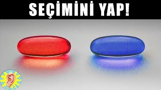 HANGİSİNİ SEÇERDİN Dünyanın EN ZOR 10 SORUSU Kişilik Testi [upl. by Areht685]