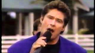 David Hasselhoff  Fallin in Love Live at Sea World 1995 [upl. by Rehpatsirhc]