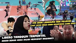 quotLangsung Peluk MegaquotPark EunJin Dan Hye Seon Emosional Lihat Mega Libero Pink Spider Terkejut [upl. by Scholem]