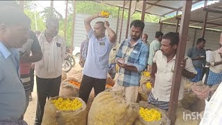 Todays flowers rates at flower market Nangali Mulbagal Kolar 29 September 24 🌸🌼🌷🌹🏵️ [upl. by Mailliw]