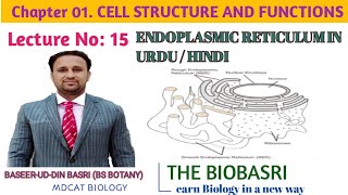 Endoplasmic Reticulum structure and Functions in Urdu Hindi [upl. by Nerrat]