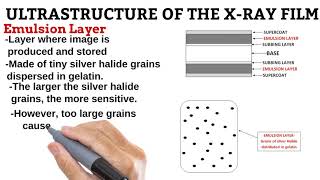 8 Layers of the XRay Film RADIOGRAPHIC IMAGING [upl. by Hope380]