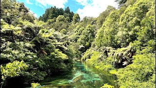 Exploring the Magic of Rotorua New Zealand 🌋  Hidden Gems amp Adventure Awaits [upl. by Eciralc]