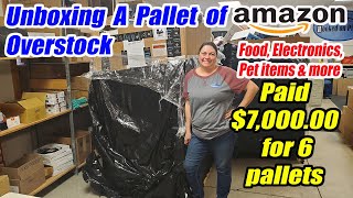 Unboxing a pallet of Amazon overstock  I paid 700000 It had food Electronics pet items and more [upl. by Tadashi]