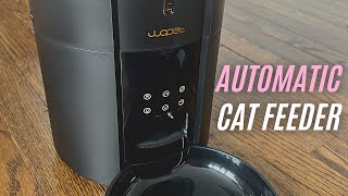 WOPET Automatic Cat Feeder FT30 Review Easy and Convenient [upl. by Demahom]