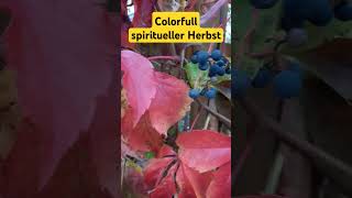 Bunter Spiritueller Herbst Spirits StillengelMama [upl. by Gibbs]