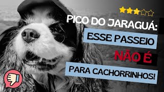 PICO DO JARAGUÁ Esse Passeio NÃO É Para Cachorrinhos [upl. by Nayr]