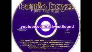 Barrio Boyzz ft Fat Joe  I Get Lifted [upl. by Onailerua616]