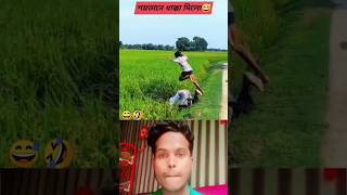 কি বাবা কান্ড 😅🤣 shorts short viralvideos youtubeshorts comedy funny maleklife1 shortsfeed [upl. by Pogah]