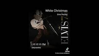 Bev Ann amp Tony S  White Christmas 2024 [upl. by Rehotsirk268]