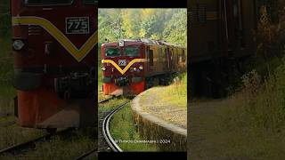 1159 Nawalapitiya  Nanuoya Slow Train Approaches Rozella railway ellatrain travel srilanka [upl. by Hooke716]