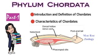 Part1 Introduction and Definition of ChordatesCharacteristics of ChordatesMsc Bsc Zoology NEET [upl. by Perretta700]