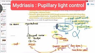 Mydriasis  Pupillary light control opthalmology 25 First Aid USMLE Step 1 in UrduHindi [upl. by Ecirbaf]