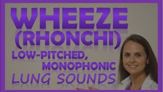 Wheezes Lung Sounds Monophonic Rhonchi Breath Sounds Abnormal Sonorous Wheeze [upl. by Ennaharas]