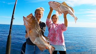 HOW To LIMIT OUT On GIANT RED GROUPER on the West Coast of Florida [upl. by Ohploda]