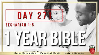 Day 271  Zechariah Chapters 15  NIV  One Year Bible [upl. by Annaira]