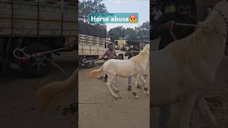 Maharastra Yeola Horse Market Again Horse abuse Horse Horseabuse [upl. by Affrica]