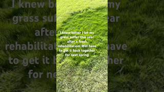 Tall Fescue Overseeding easyonthegreen lawncare [upl. by Sasnett]