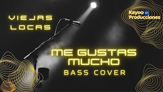 Me gustas mucho  Viejas Locas  Bass Cover [upl. by Ikir]