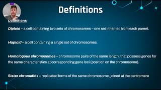 271  Meiosis Diploid vs Haploid [upl. by Salta180]