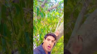 Raho me unse mulakat ho gai bollywood music [upl. by Yorgerg52]