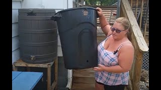 DIY Rain Barrel Setup for purchased and Homemade Rain Barrel [upl. by Victor]