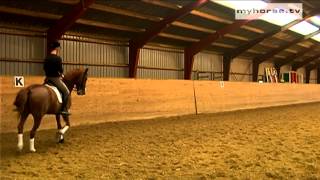 Dressage Exercise  HalfPass [upl. by Eulalee973]