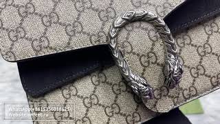 2023 GUCCI Dionysus Review [upl. by Aggarwal]