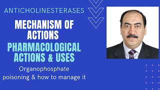 An elaborate explanation of anticholinesterase mechanism of action uses amp organophosphate poisoning [upl. by Lose]