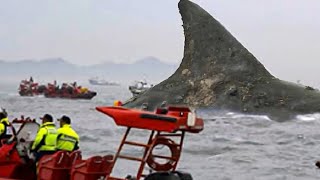 Si Ces 30 moments a LA Plage navaient pas été filmés personne ny aurait cru [upl. by Nadabb]